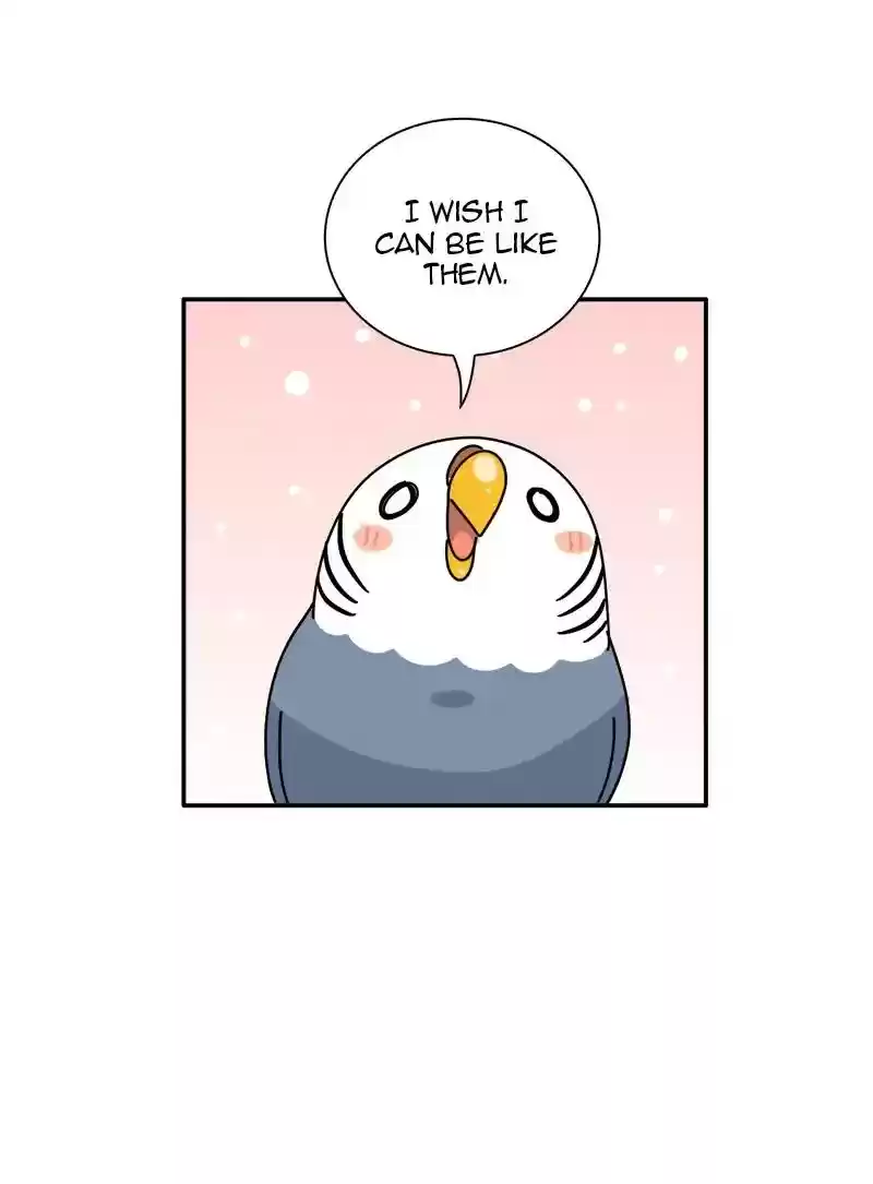 A Budgie's Life Chapter 337: Ep.336: