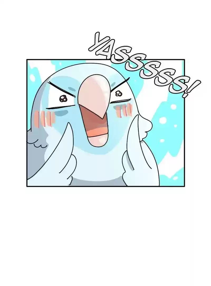 A Budgie's Life Chapter 338: Ep.337: