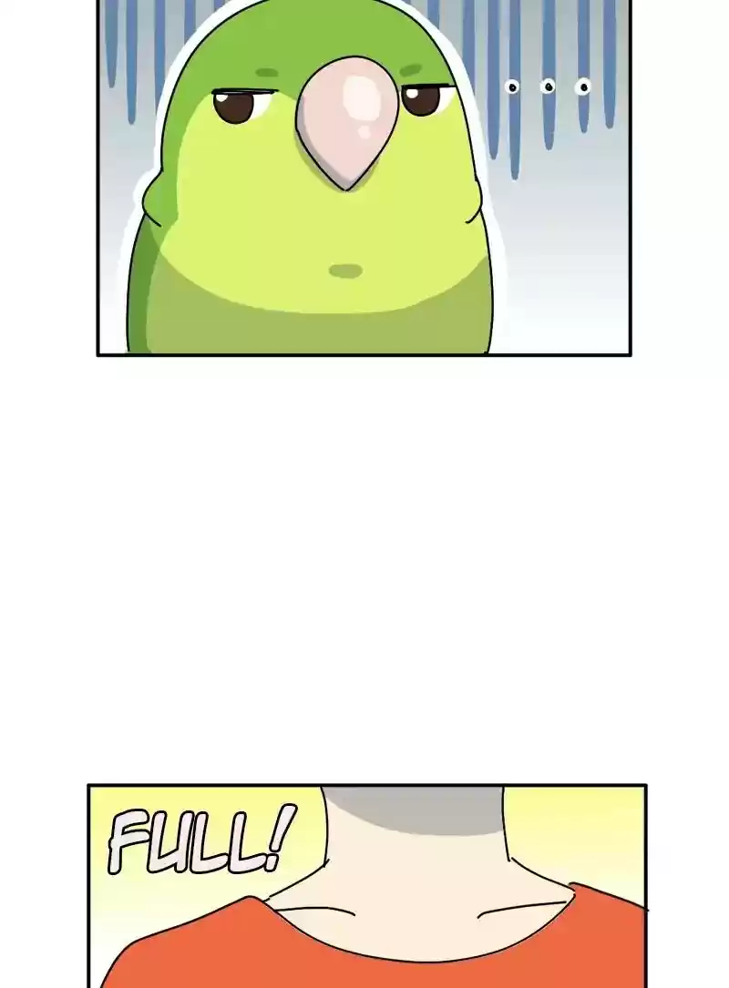 A Budgie's Life Chapter 338: Ep.337: