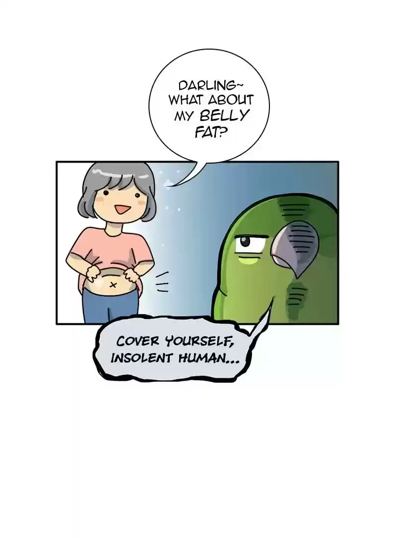 A Budgie's Life Chapter 338: Ep.337: