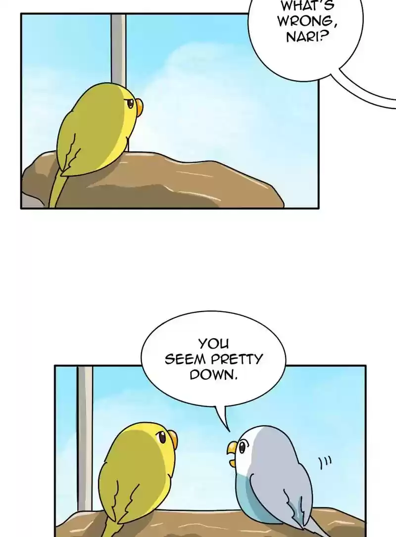 A Budgie's Life Chapter 339: Ep.338: