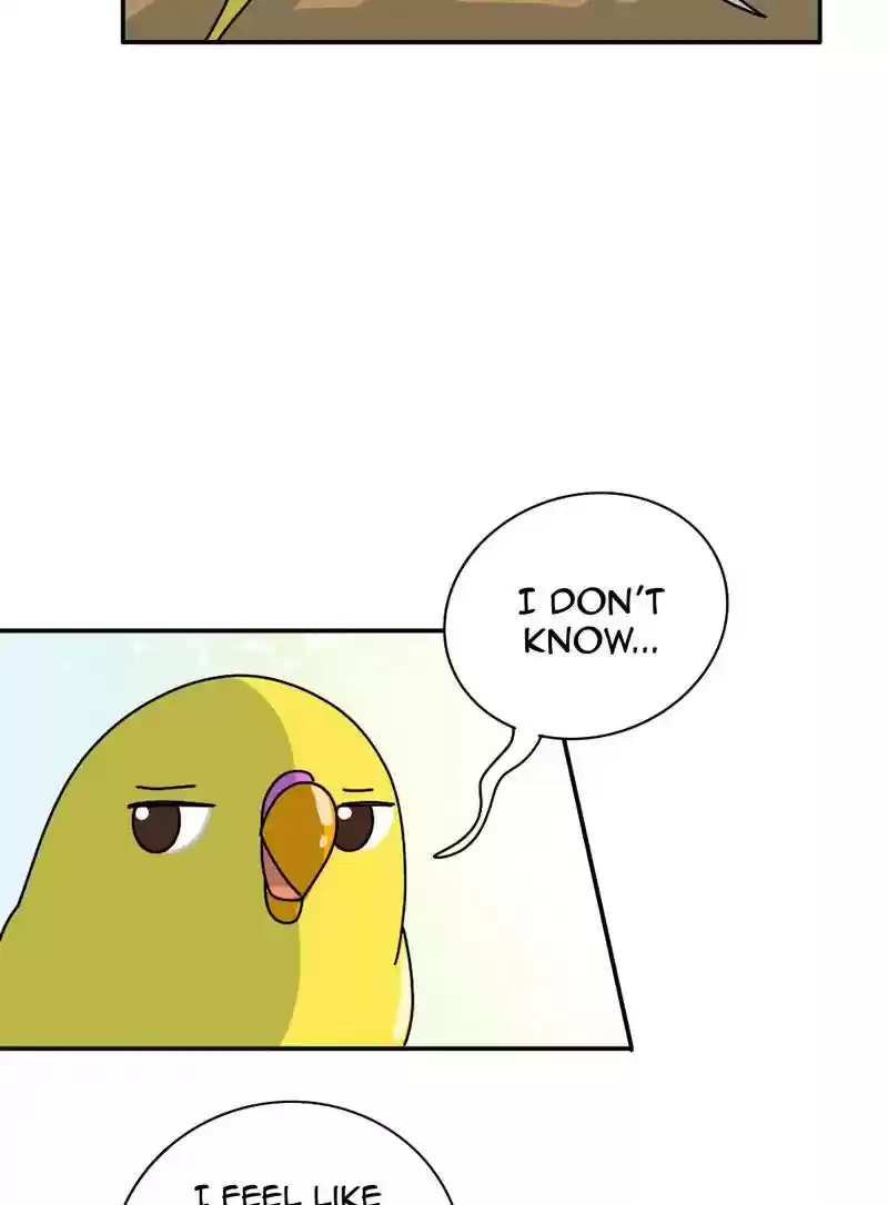 A Budgie's Life Chapter 339: Ep.338: