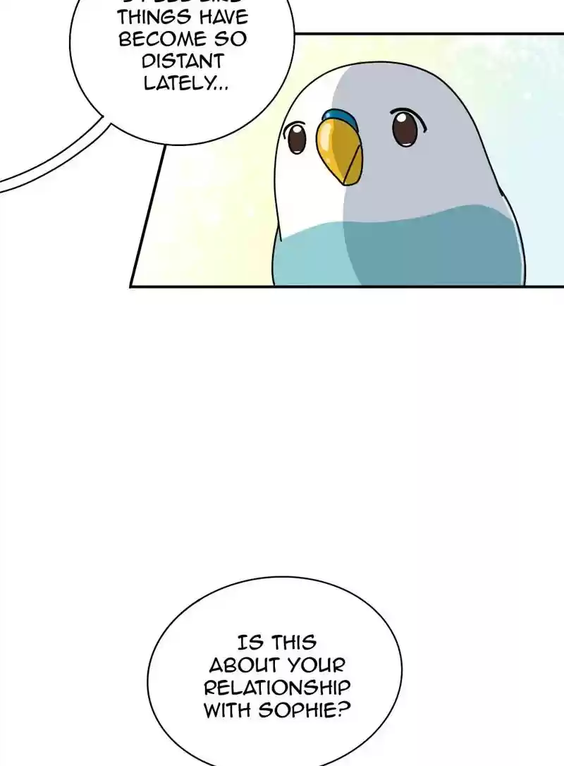 A Budgie's Life Chapter 339: Ep.338: