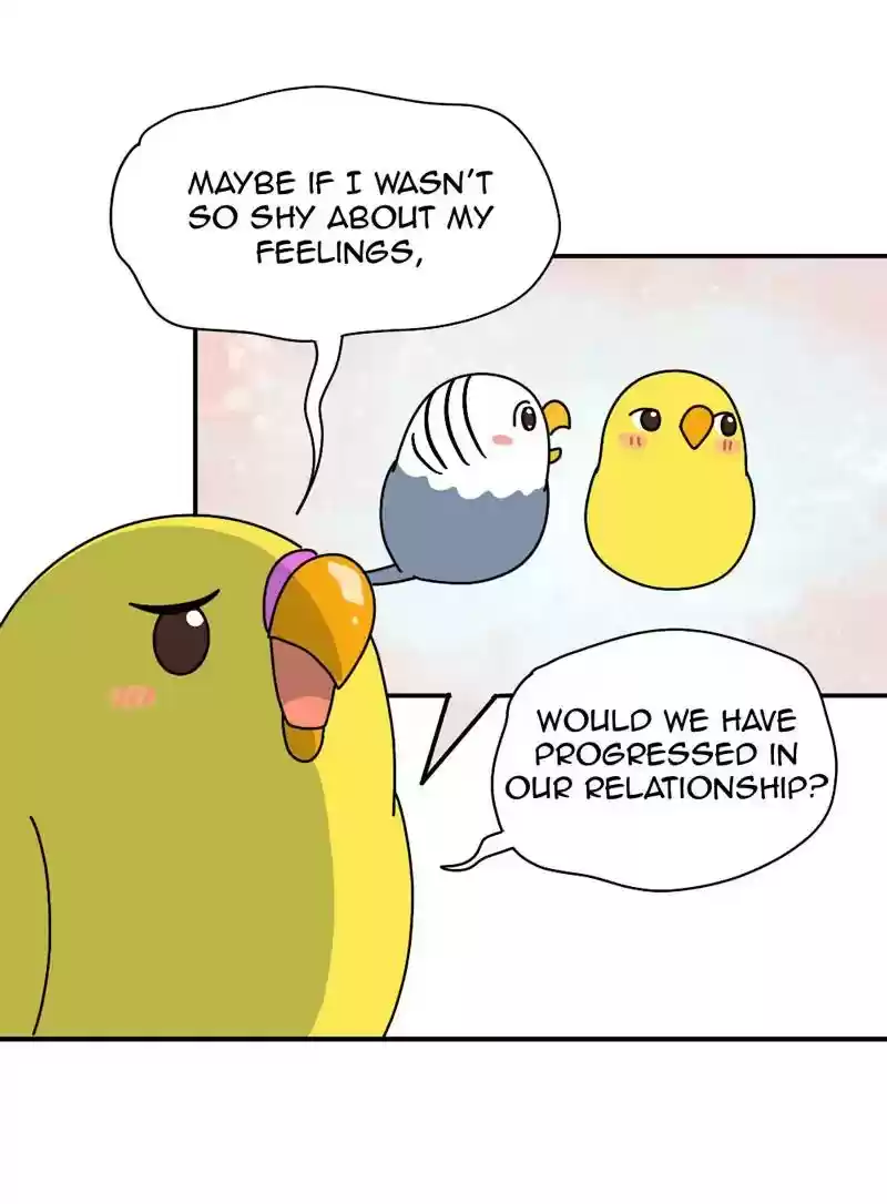 A Budgie's Life Chapter 339: Ep.338: