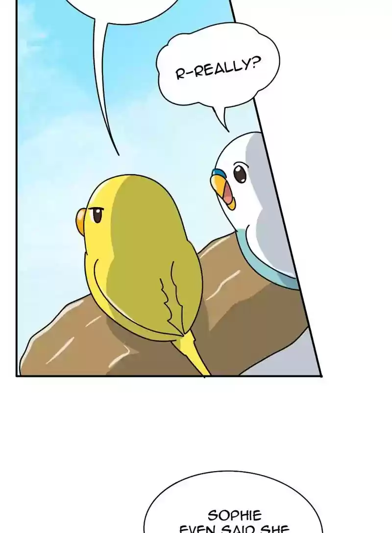 A Budgie's Life Chapter 339: Ep.338: