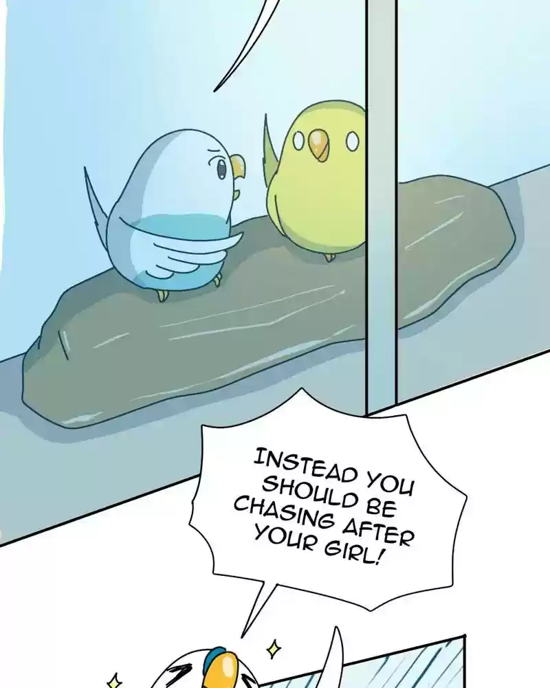 A Budgie's Life Chapter 339: Ep.338: