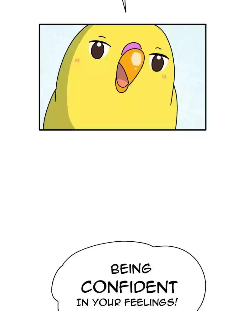 A Budgie's Life Chapter 339: Ep.338: