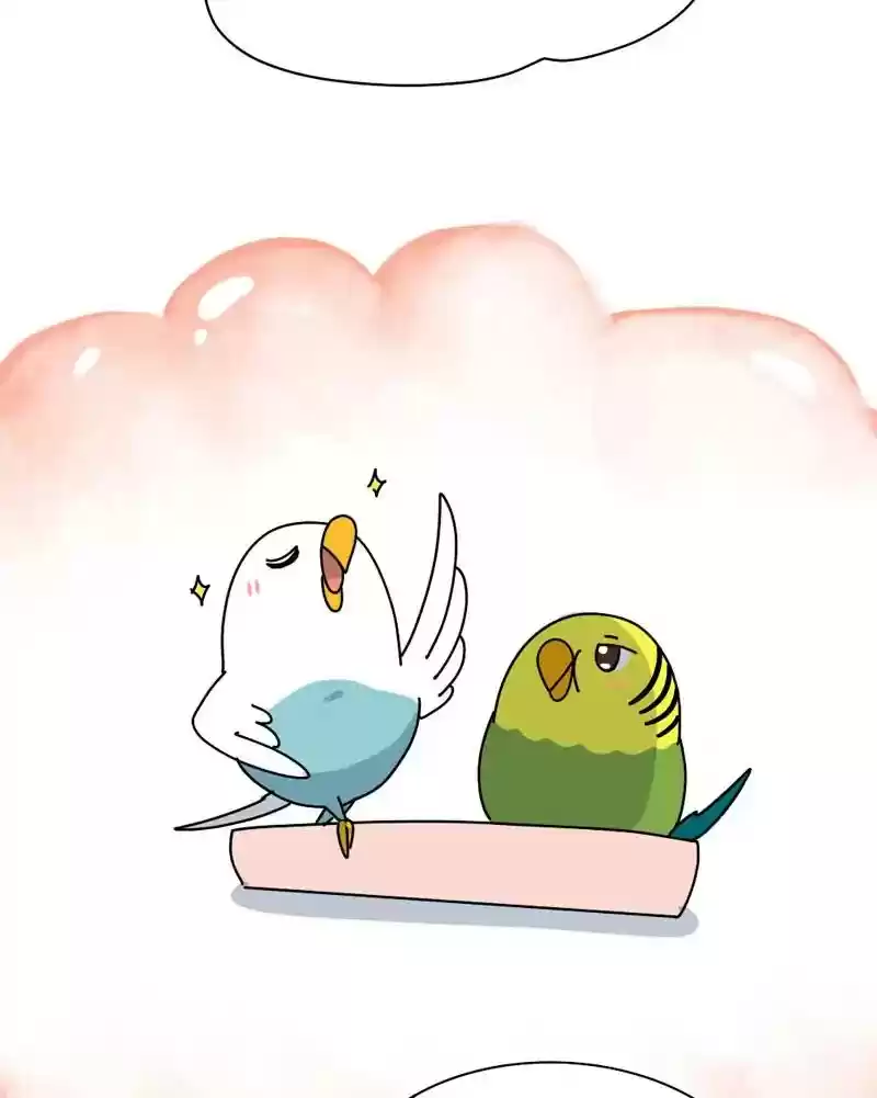 A Budgie's Life Chapter 339: Ep.338: