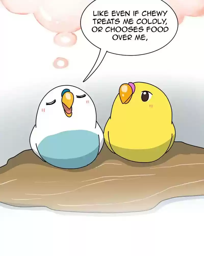 A Budgie's Life Chapter 339: Ep.338:
