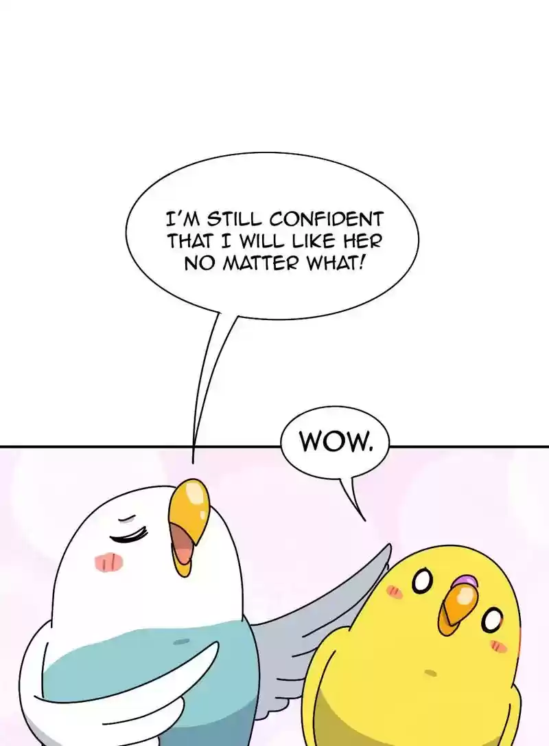 A Budgie's Life Chapter 339: Ep.338: