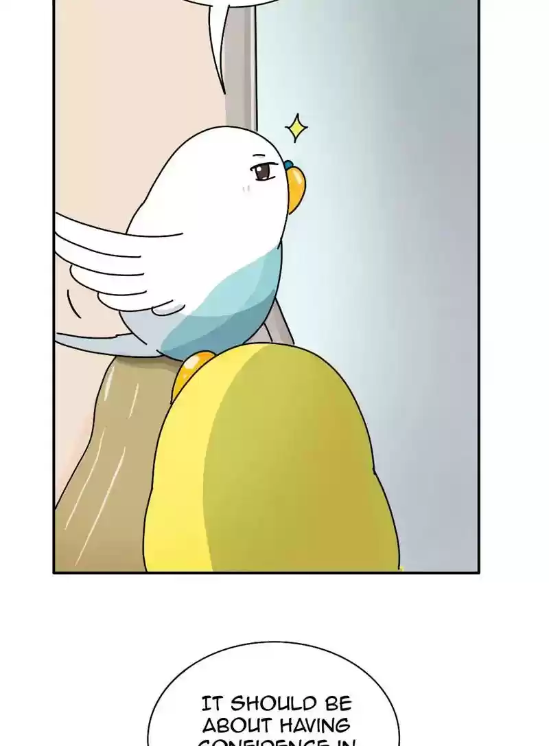 A Budgie's Life Chapter 339: Ep.338: