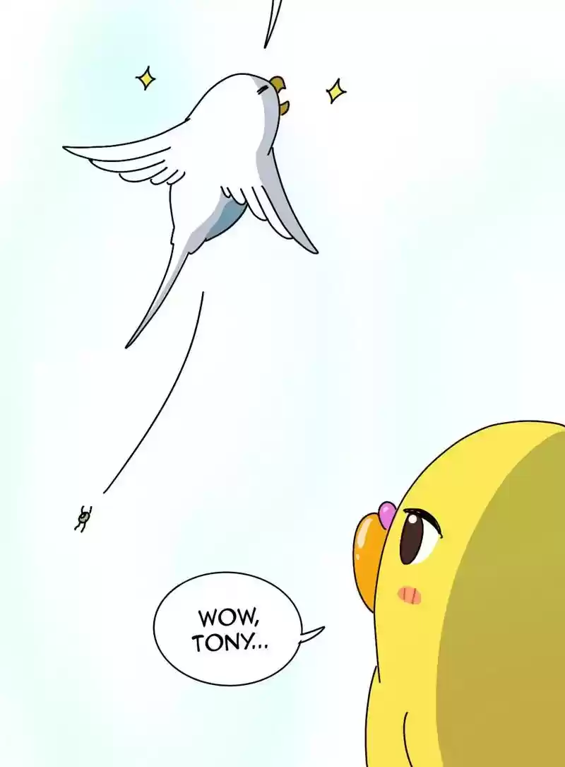 A Budgie's Life Chapter 339: Ep.338: