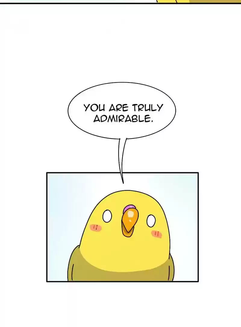 A Budgie's Life Chapter 339: Ep.338: