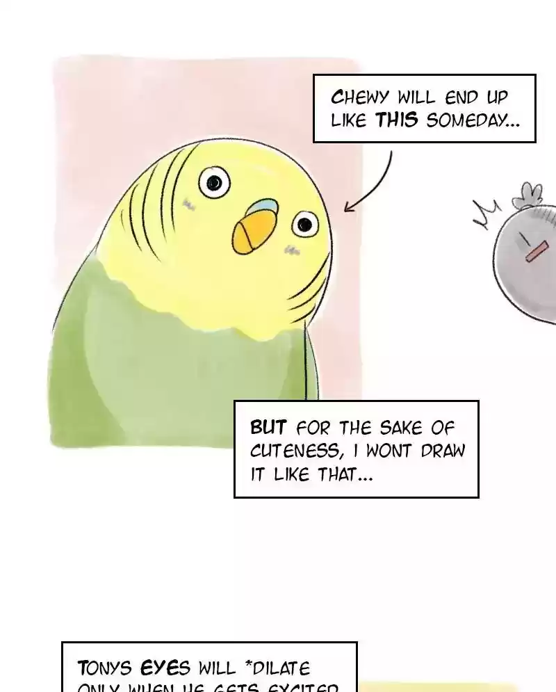 A Budgie's Life Chapter 34: Ep.34: