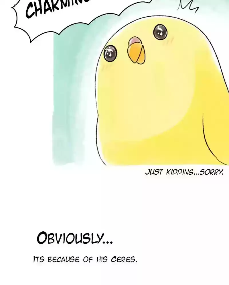 A Budgie's Life Chapter 34: Ep.34: