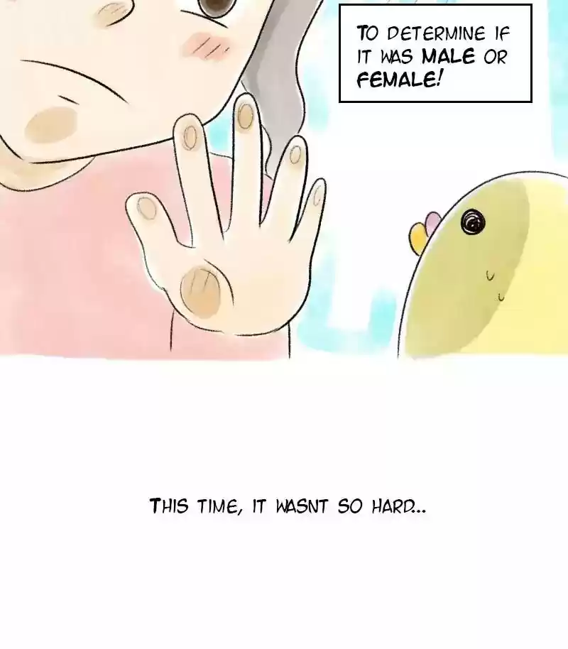 A Budgie's Life Chapter 34: Ep.34: