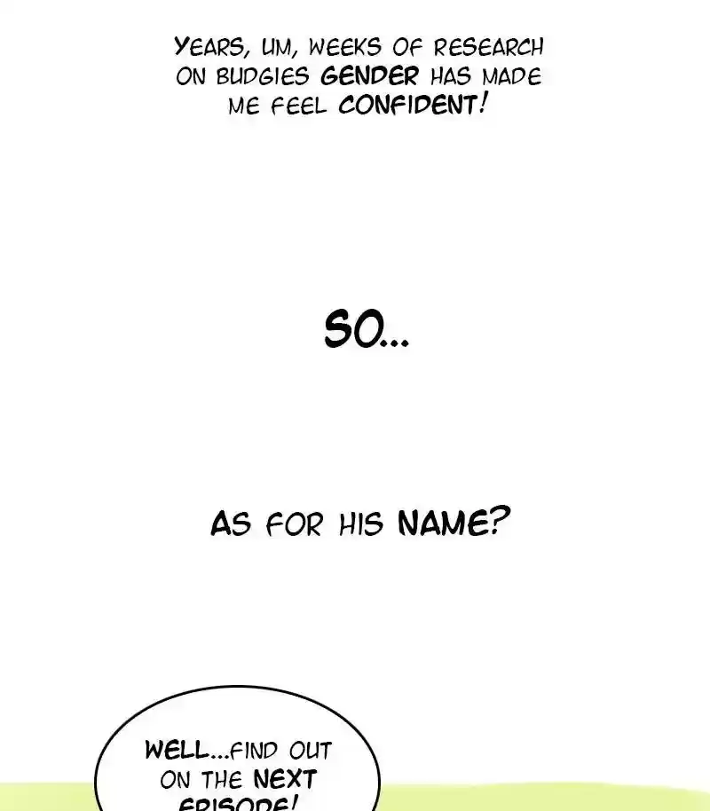 A Budgie's Life Chapter 34: Ep.34: