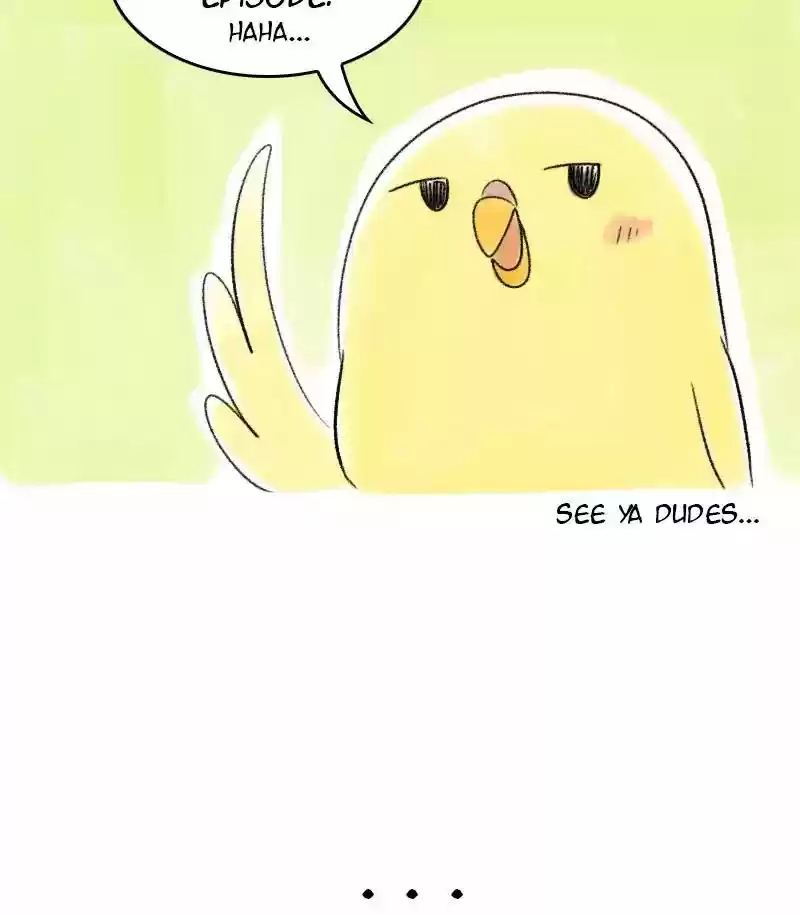 A Budgie's Life Chapter 34: Ep.34: