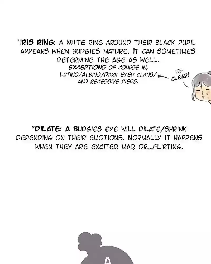 A Budgie's Life Chapter 34: Ep.34: