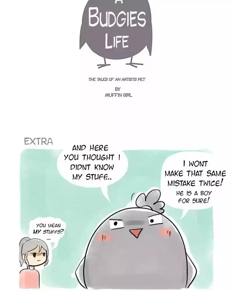 A Budgie's Life Chapter 34: Ep.34: