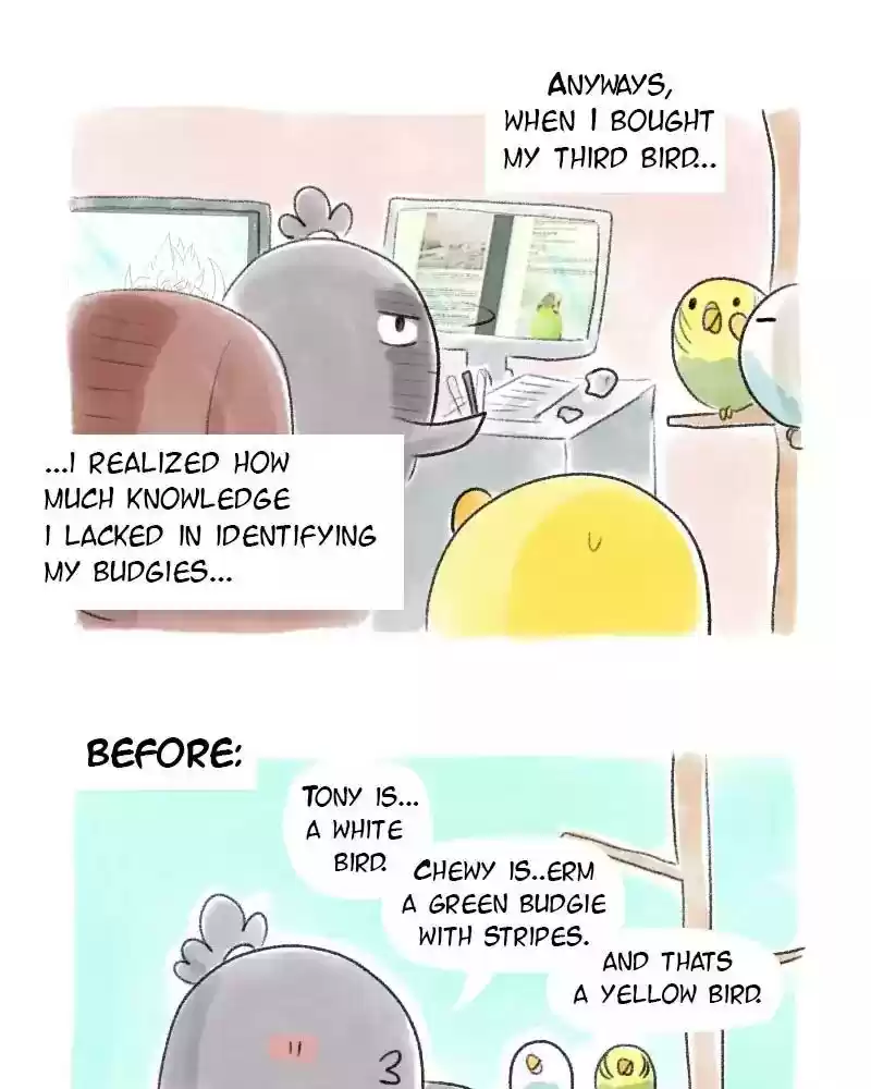 A Budgie's Life Chapter 34: Ep.34: