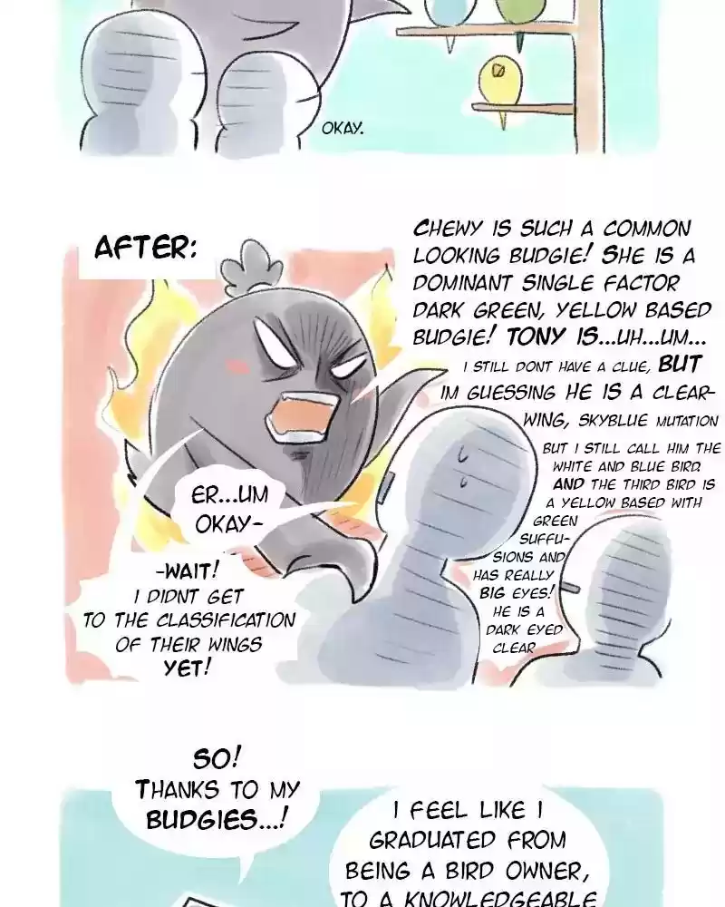 A Budgie's Life Chapter 34: Ep.34: