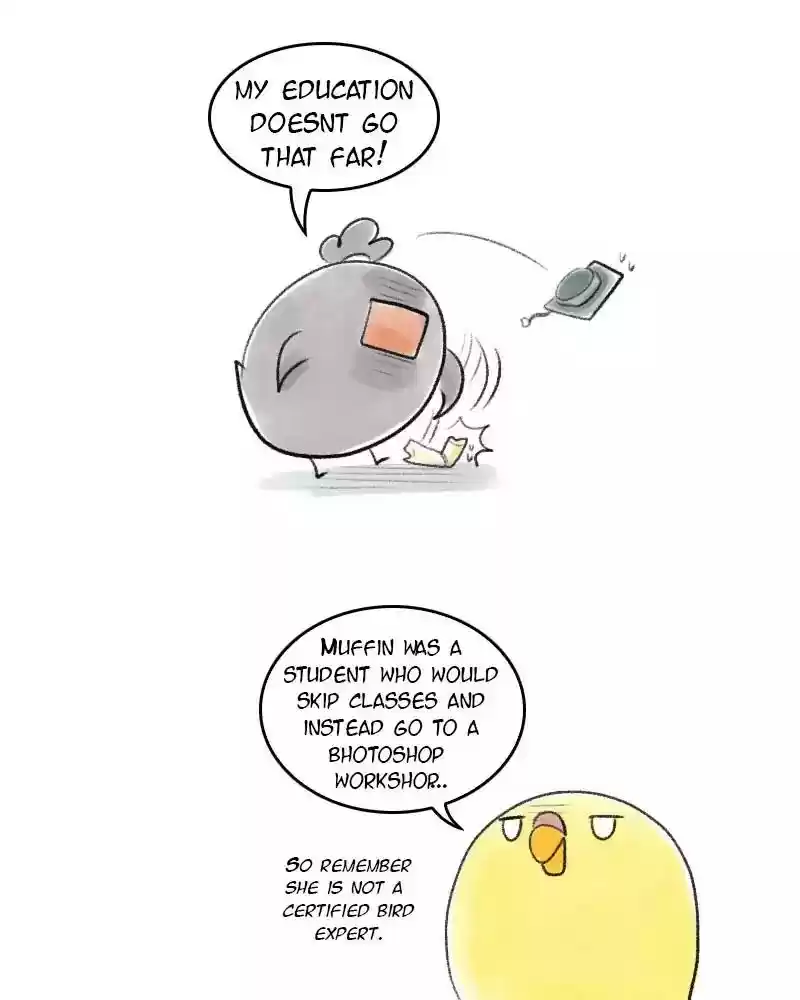 A Budgie's Life Chapter 34: Ep.34: