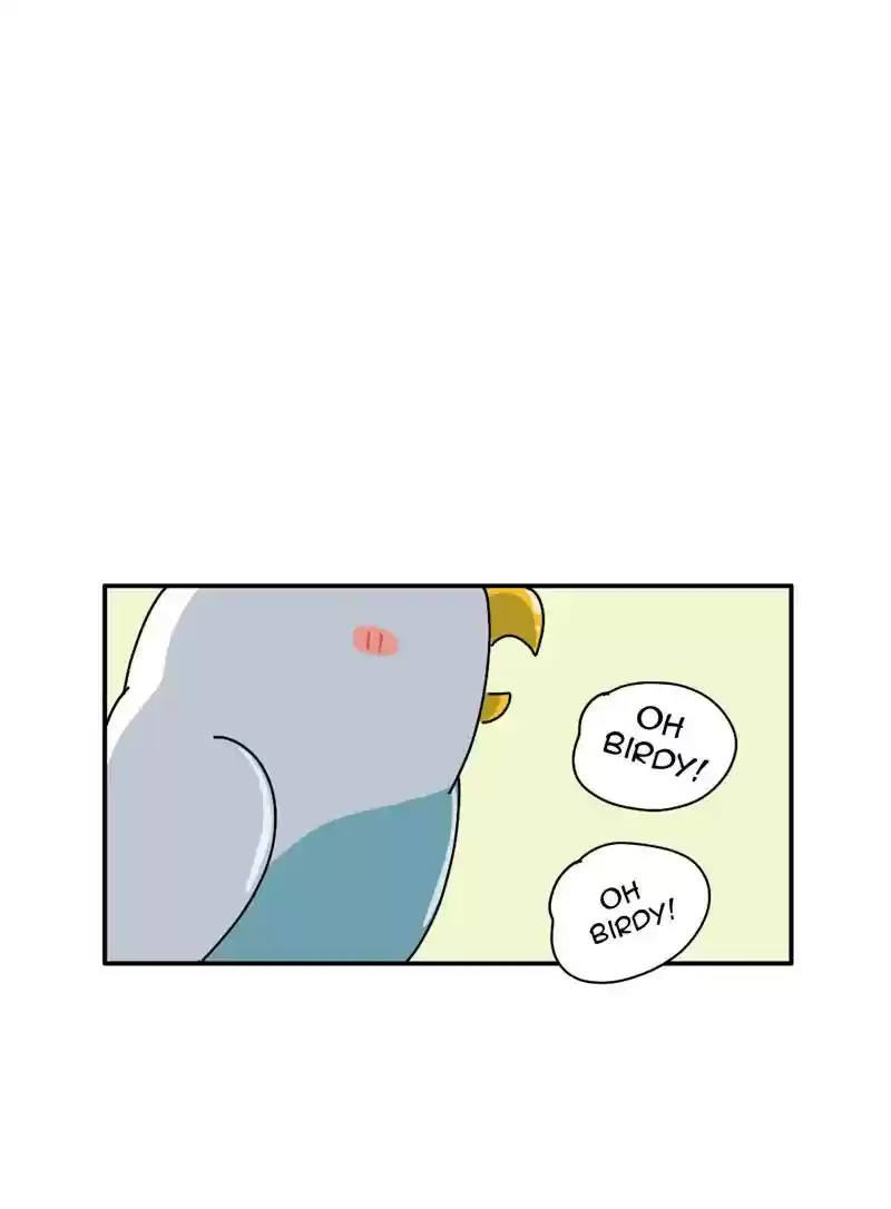 A Budgie's Life Chapter 340: Ep.339: