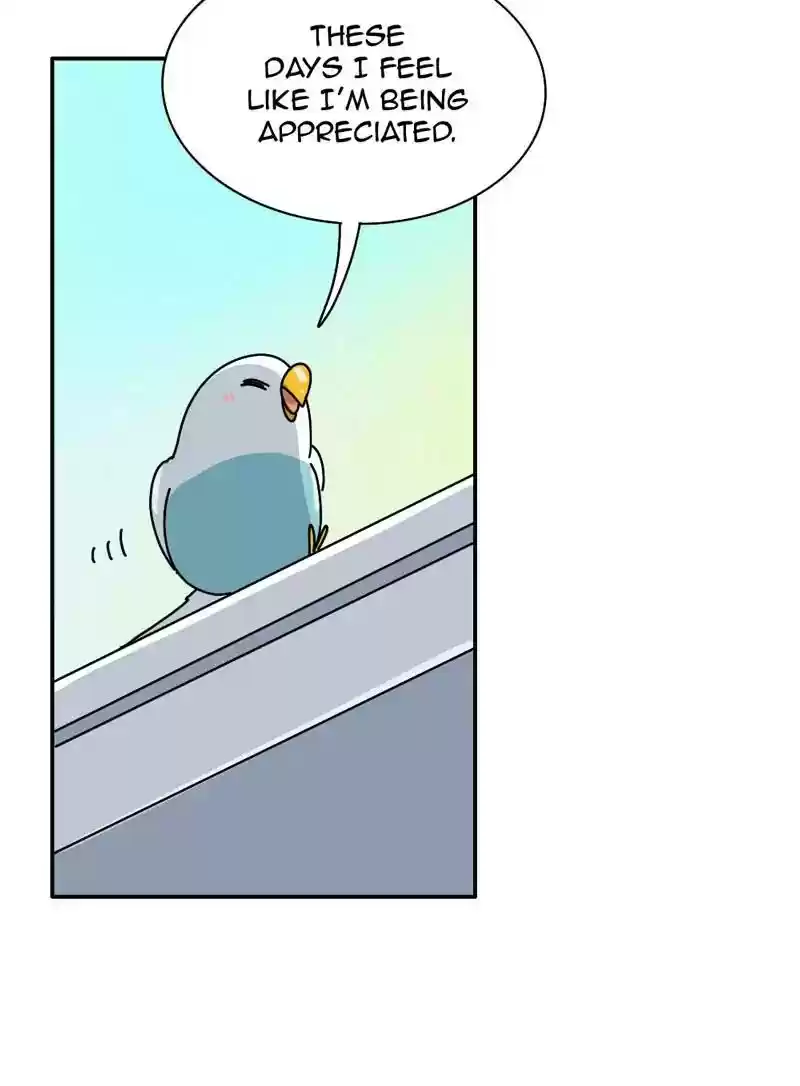 A Budgie's Life Chapter 340: Ep.339: