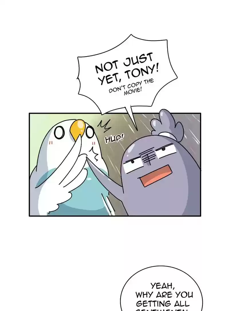 A Budgie's Life Chapter 340: Ep.339: