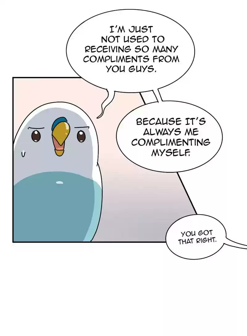 A Budgie's Life Chapter 340: Ep.339: