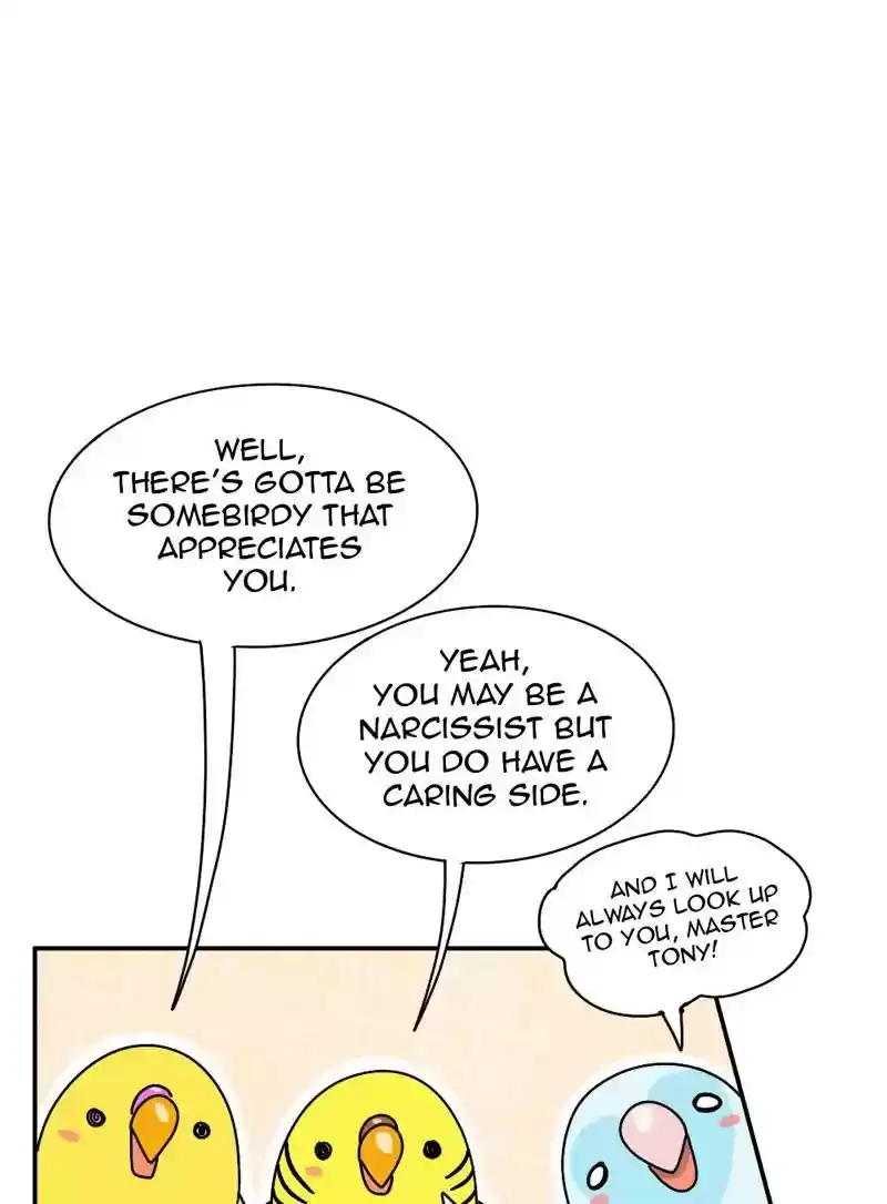 A Budgie's Life Chapter 340: Ep.339: