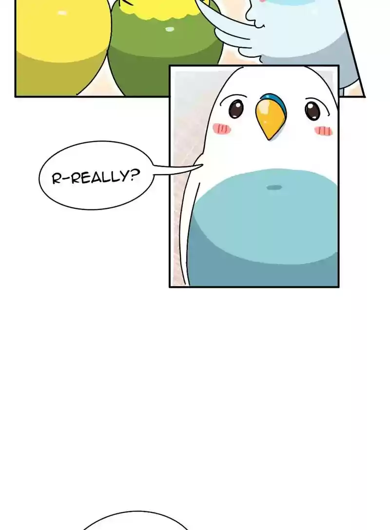 A Budgie's Life Chapter 340: Ep.339: