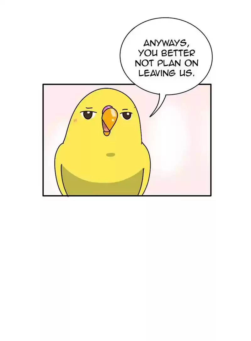 A Budgie's Life Chapter 340: Ep.339: