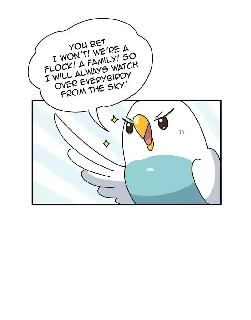 A Budgie's Life Chapter 340: Ep.339: