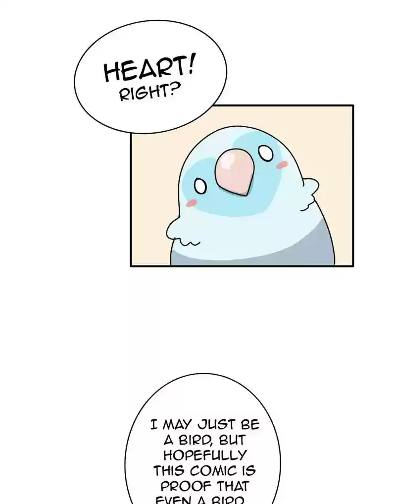 A Budgie's Life Chapter 340: Ep.339: