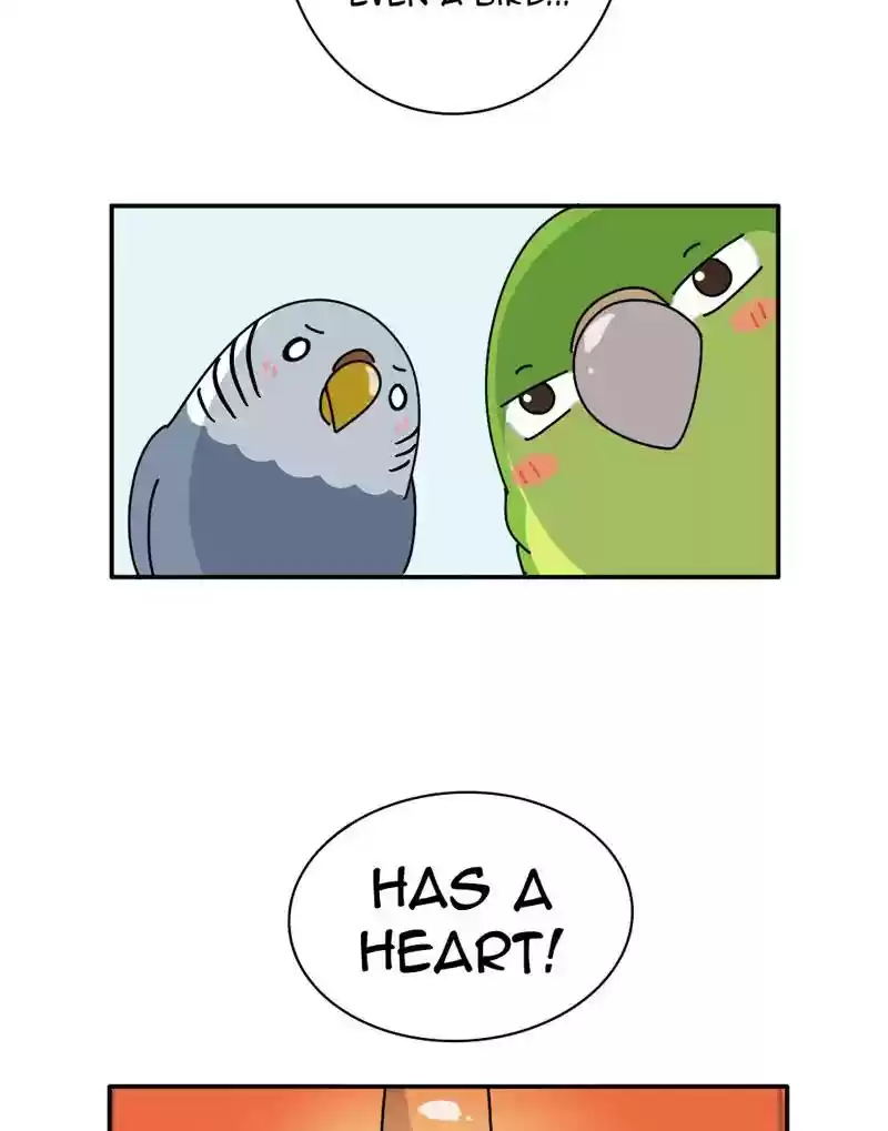 A Budgie's Life Chapter 340: Ep.339: