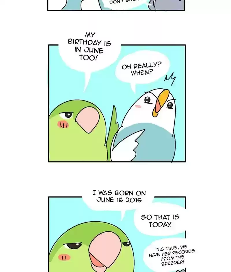 A Budgie's Life Chapter 340: Ep.339:
