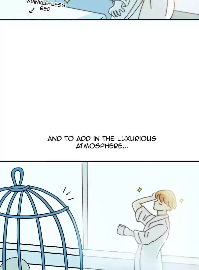 A Budgie's Life Chapter 341: Ep.340: