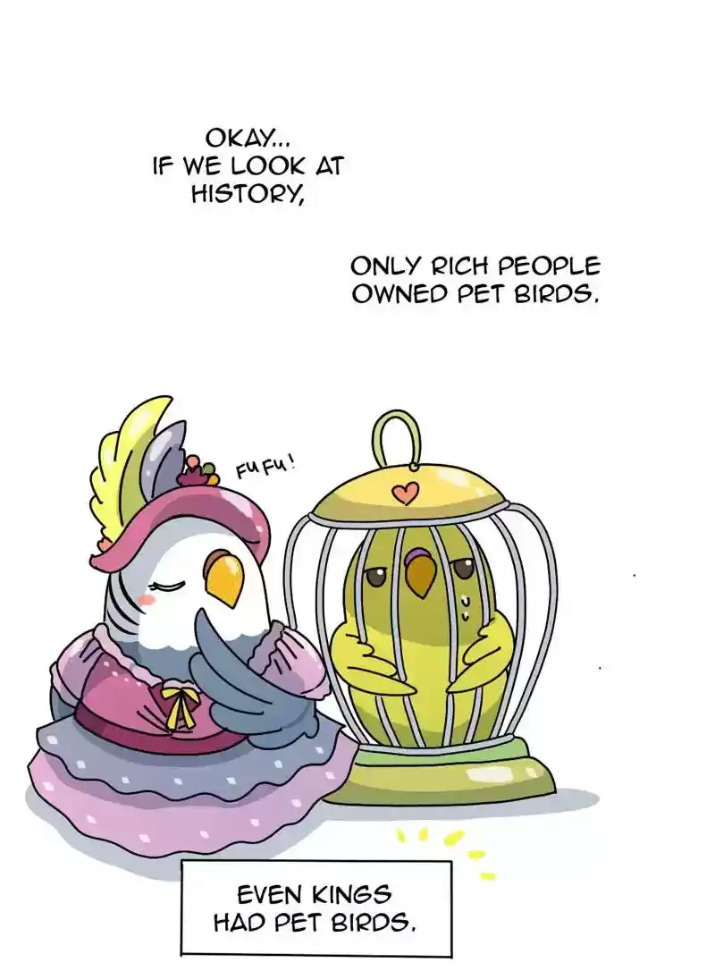 A Budgie's Life Chapter 341: Ep.340: