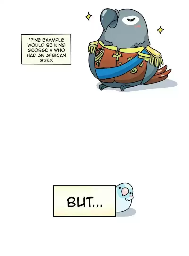 A Budgie's Life Chapter 341: Ep.340: