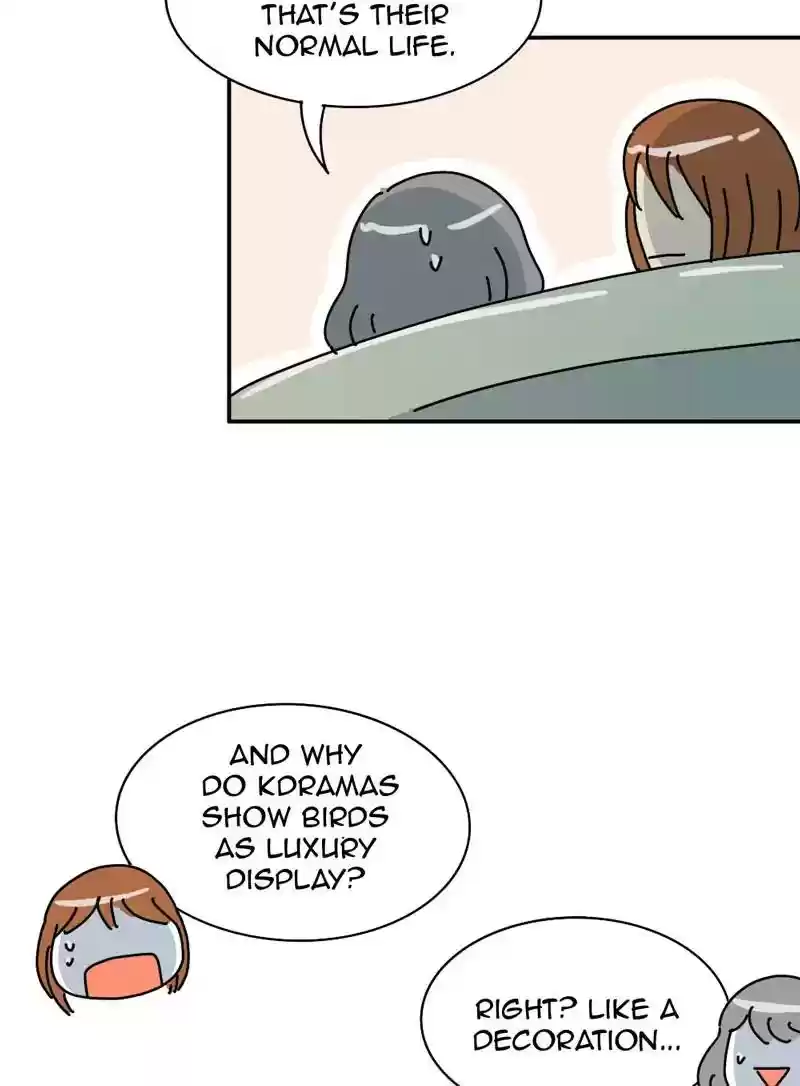 A Budgie's Life Chapter 341: Ep.340: