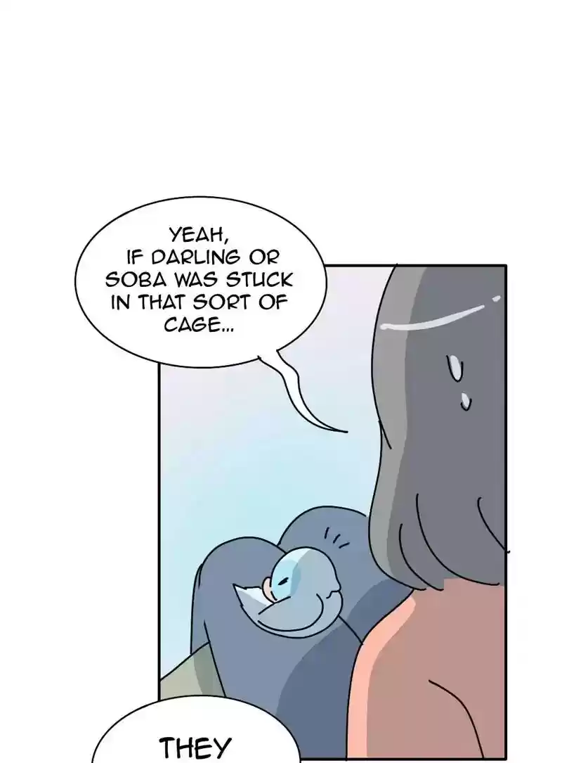 A Budgie's Life Chapter 341: Ep.340: