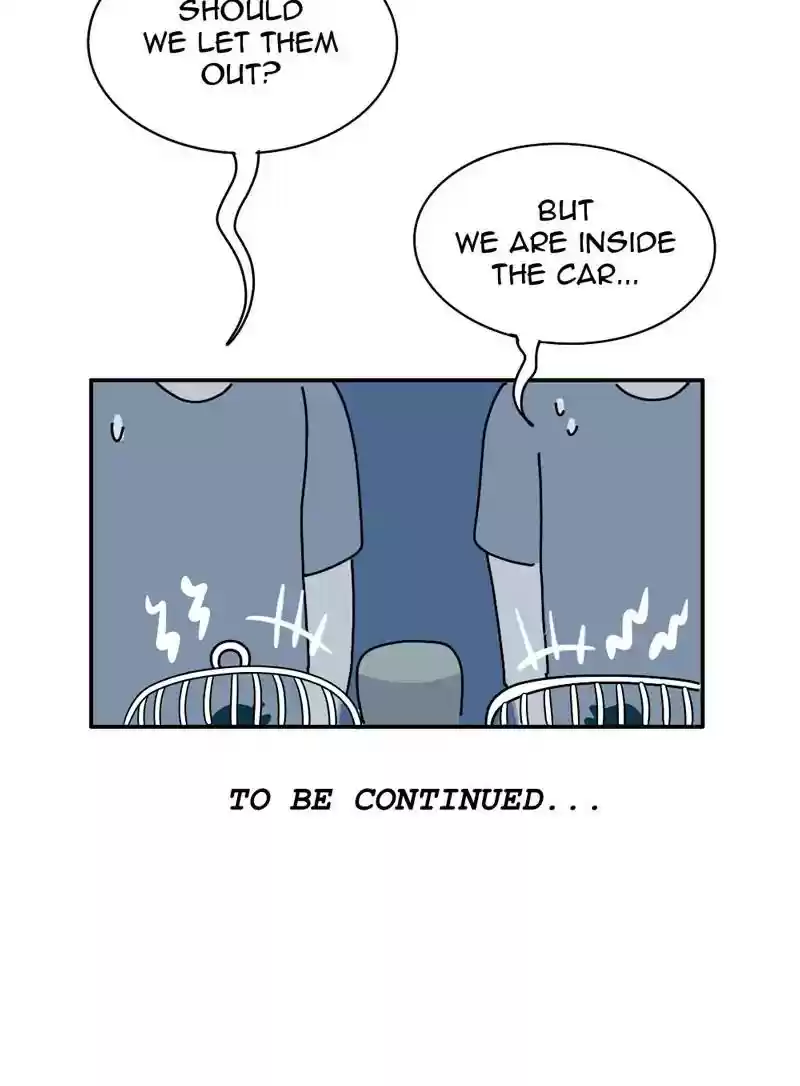 A Budgie's Life Chapter 341: Ep.340: