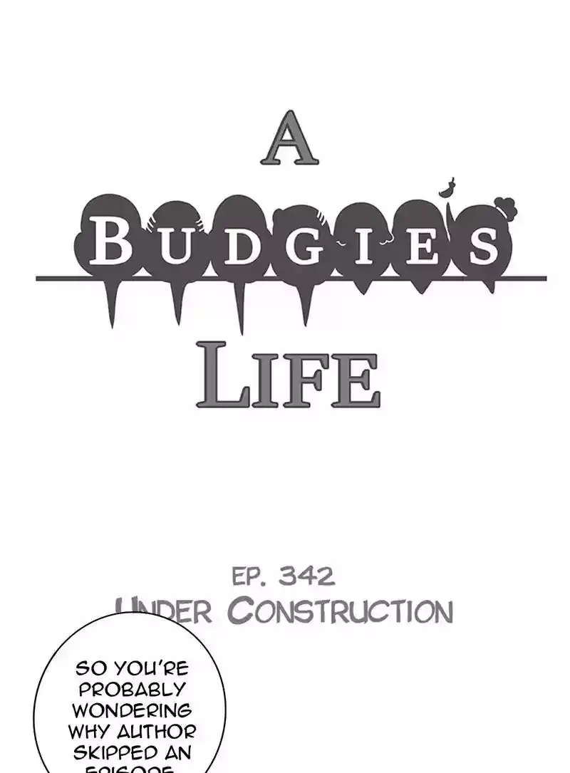 A Budgie's Life Chapter 342: Ep.341: