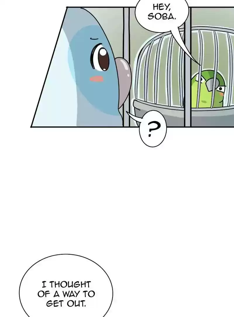 A Budgie's Life Chapter 343: Ep.342: