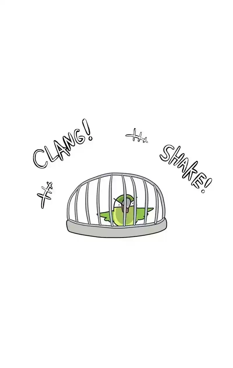 A Budgie's Life Chapter 343: Ep.342: