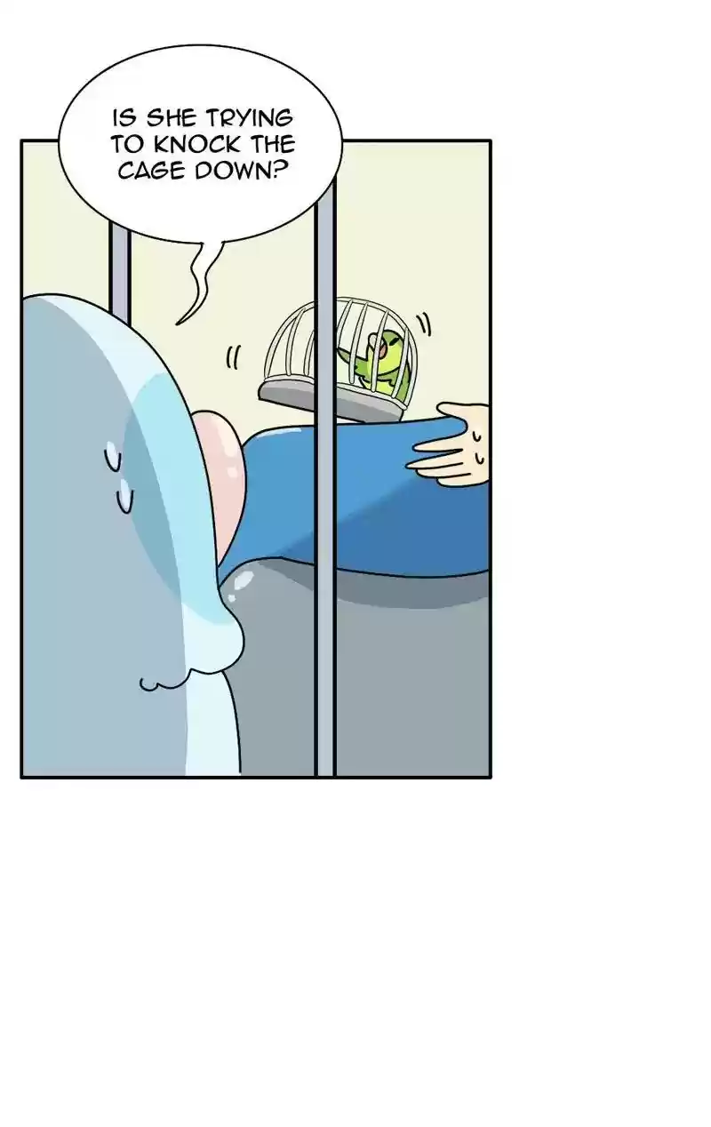 A Budgie's Life Chapter 343: Ep.342: