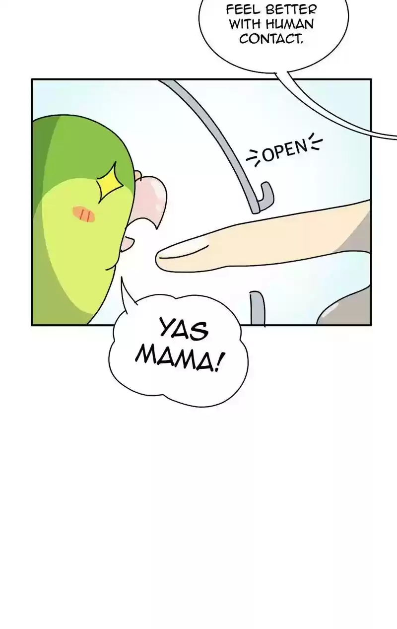 A Budgie's Life Chapter 343: Ep.342: