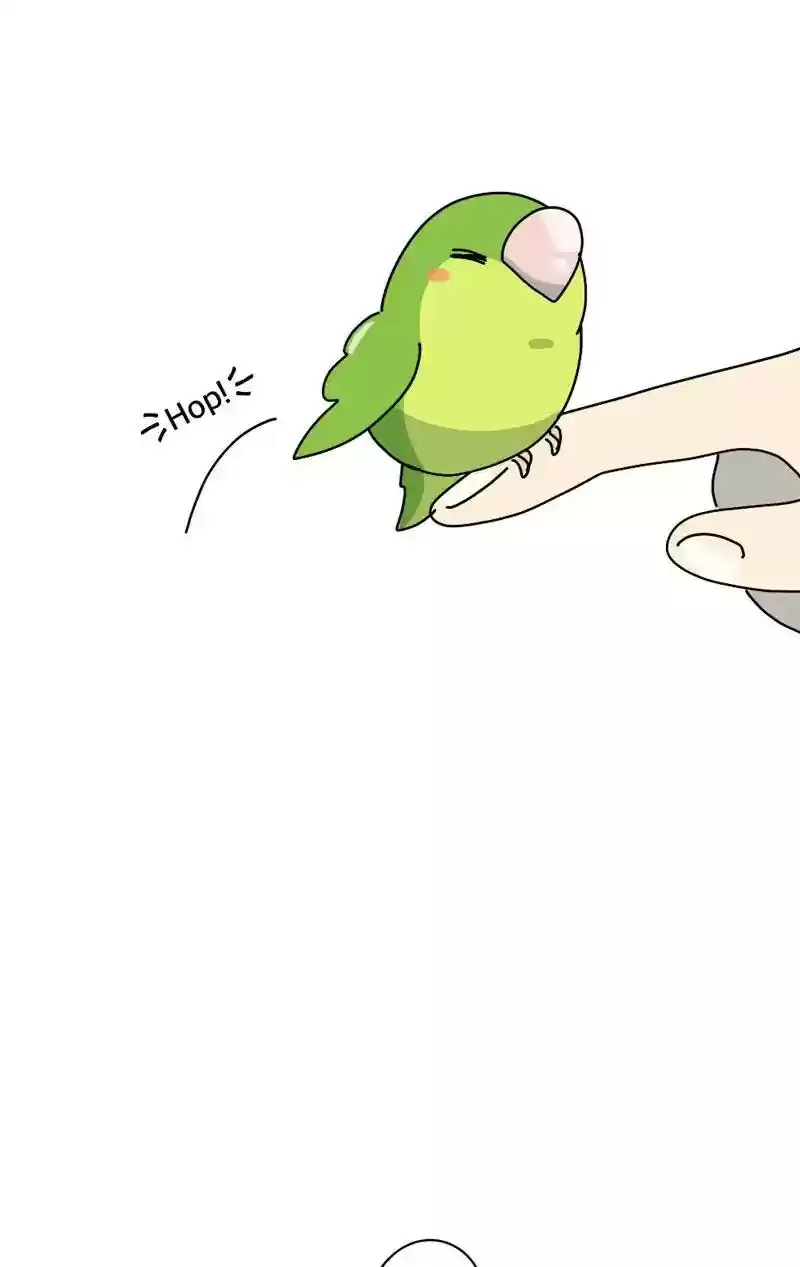 A Budgie's Life Chapter 343: Ep.342: